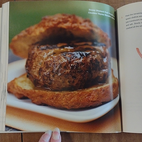 The Great Big Burger Book Jane Murphy & Liz Yeh Singh soft cover - Picture 3 of 8